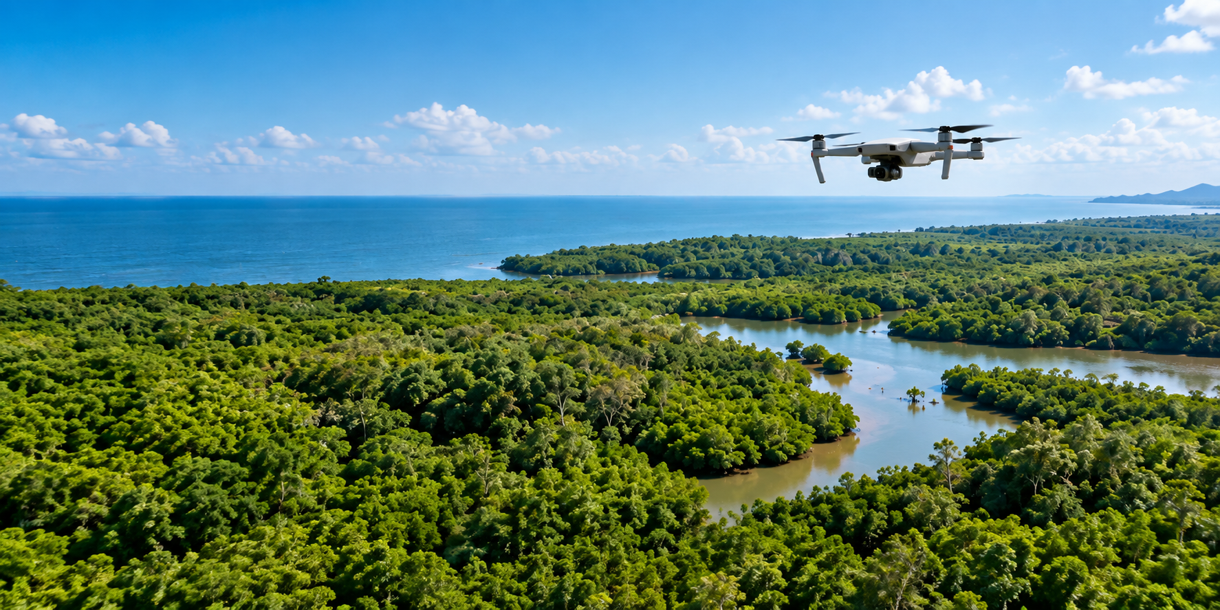 Pandangan udara hutan mangrove pesisir dengan drone survei terbang di atasnya